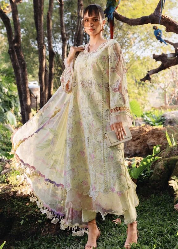 MARIA B Collection